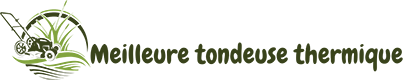 Meilleure tondeuse thermique
